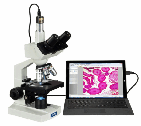 Hematology Analyzer
